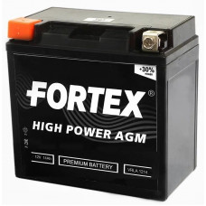 Аккумулятор FORTEX DC MF 12В, 14 Ач, 200 А (YTX14-BS), AGM, прямая полярность, сухо-заряженный, с электролитом
